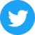 White Twitter logo